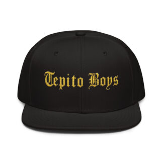 Gorra snapback